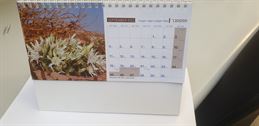 לוח שנה שולחני עומד בצלאל ציוד משרדי
